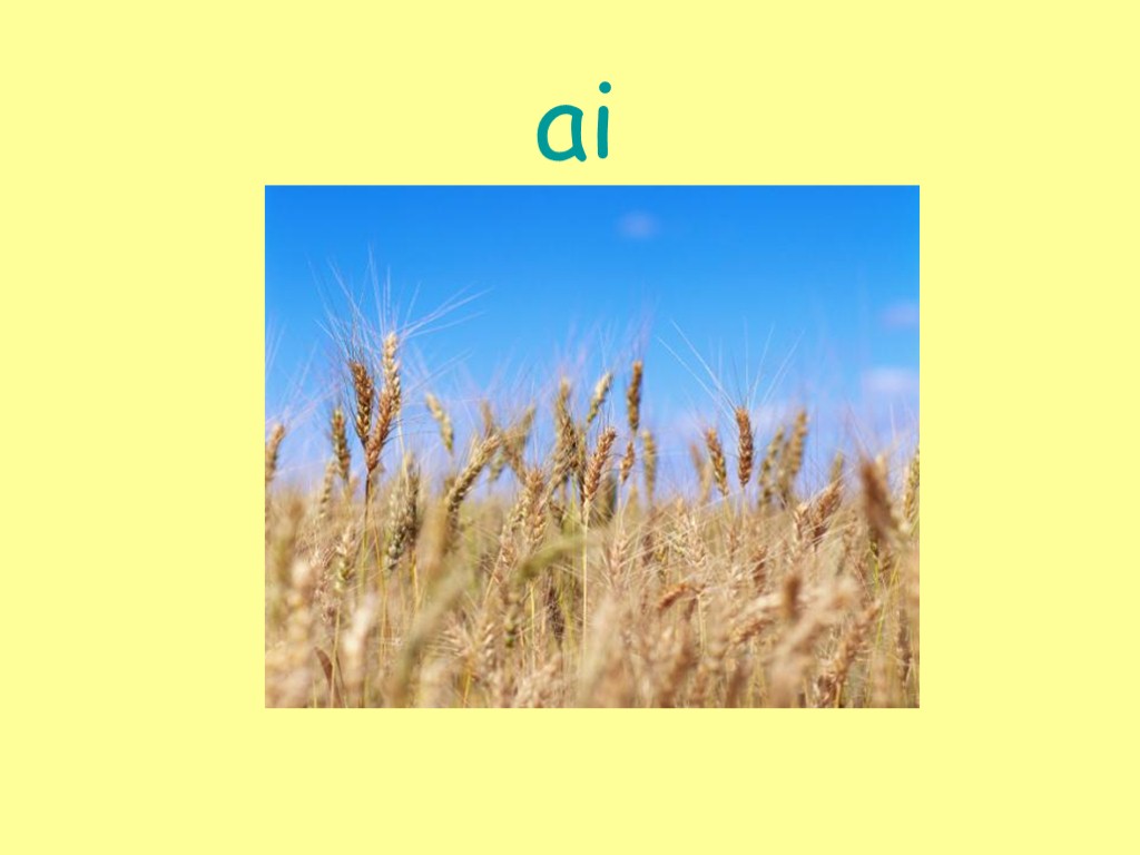 ai
